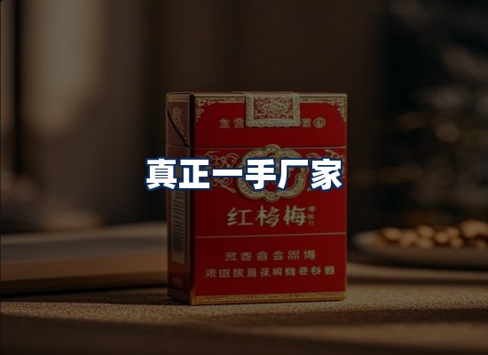 专业团队办公环境